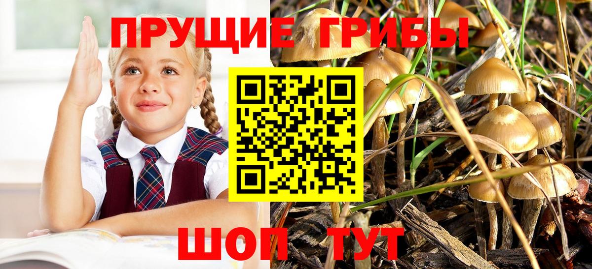 Галлюциногенные грибы Cubensis  Вход с VPN  Белогорск 